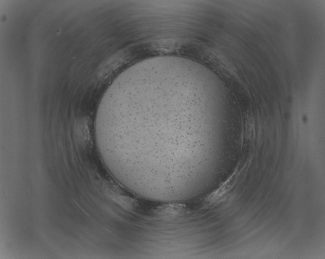 X0000077320128200611031715