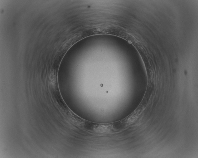 X0000077320129200611031715