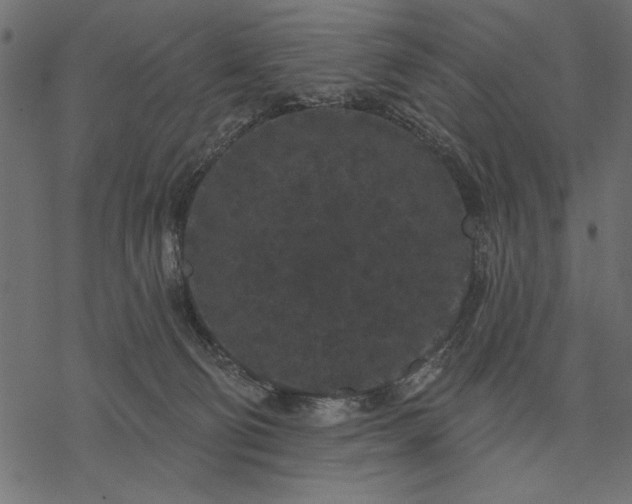 X0000077320130200611031715