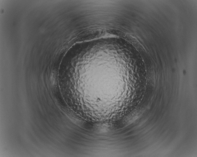 X0000077320131200611031715