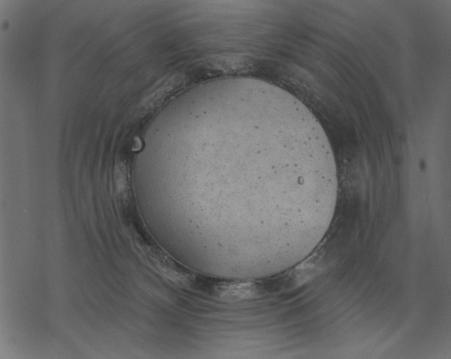 X0000077320132200611031715