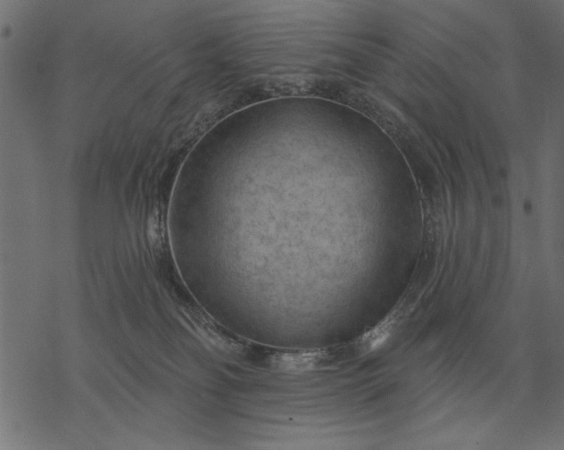 X0000077320134200611031715