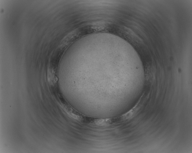 X0000077320136200611031715