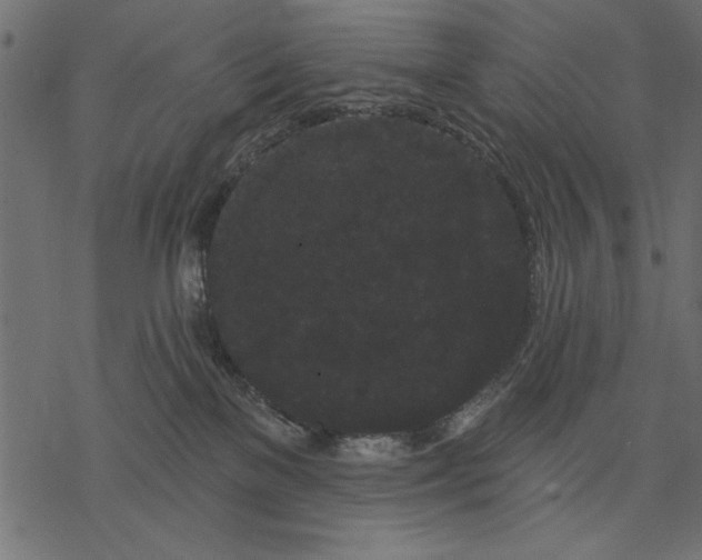 X0000077320137200611031715