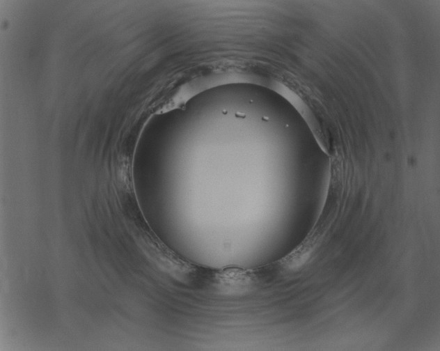 X0000077320141200611031715