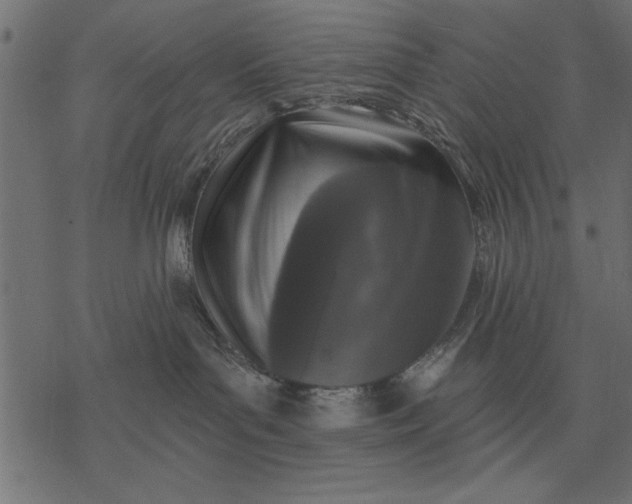 X0000077320143200611031715