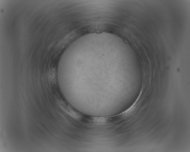 X0000077320144200611031715