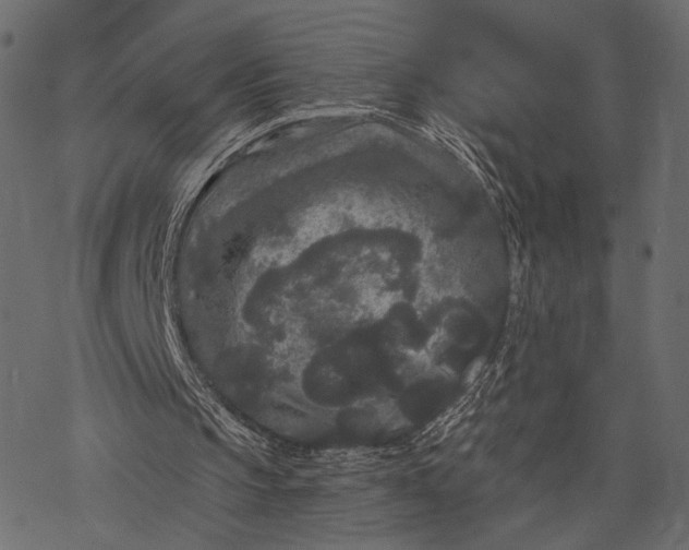 X0000077320145200611031714