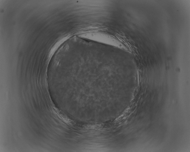 X0000077320147200611031714