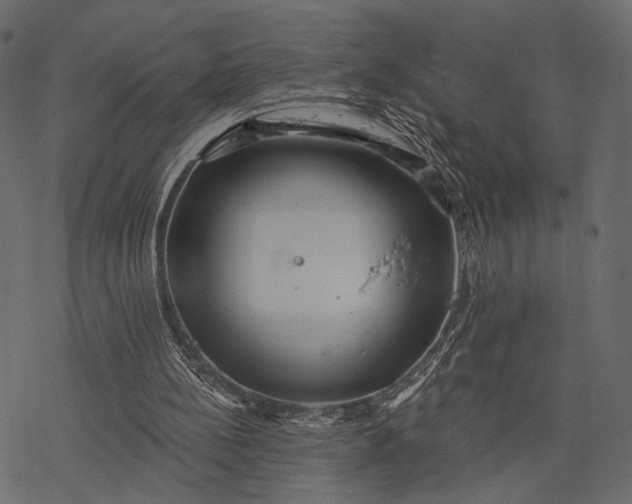 X0000077320148200611031714