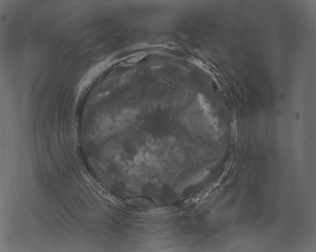 X0000077320149200611031714