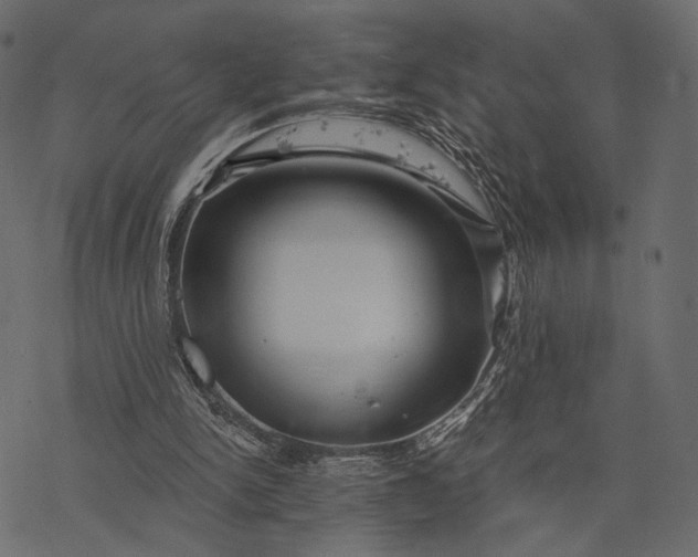 X0000077320150200611031714