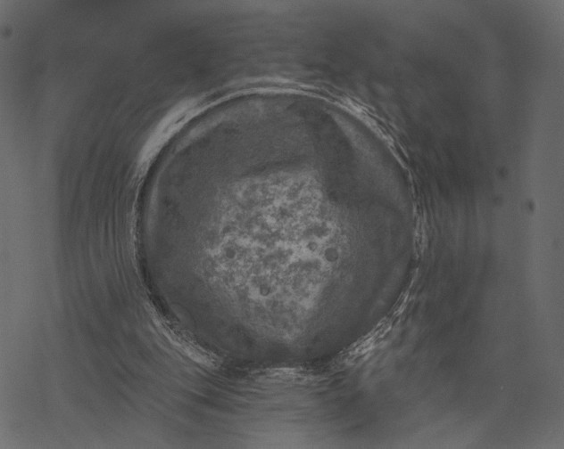 X0000077320151200611031714