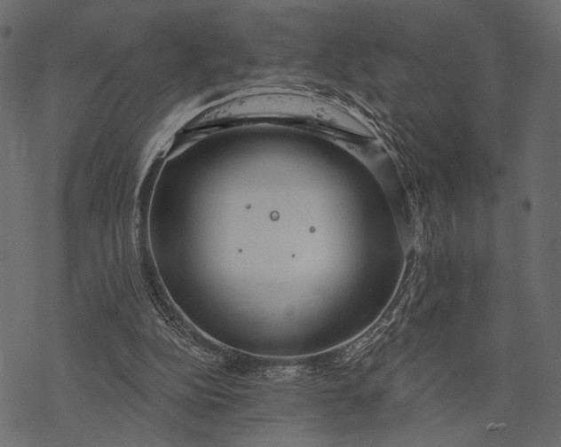 X0000077320152200611031714