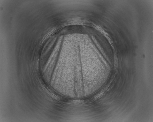 X0000077320153200611031714