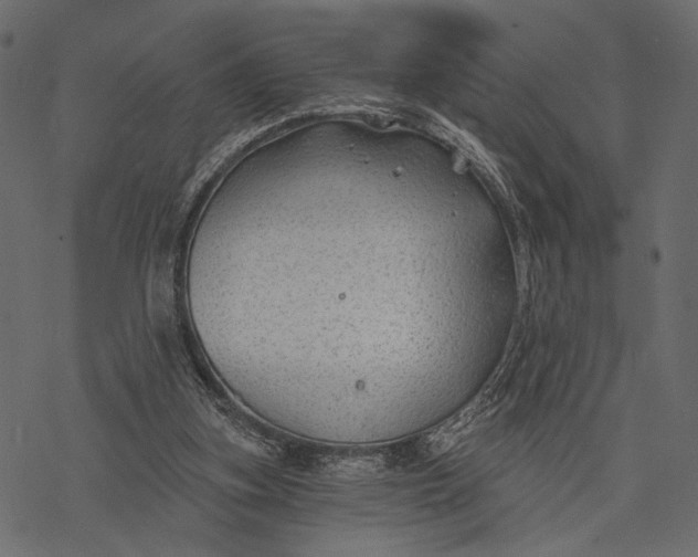 X0000077320155200611031714