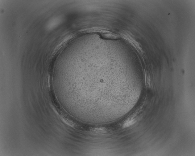 X0000077320157200611031714