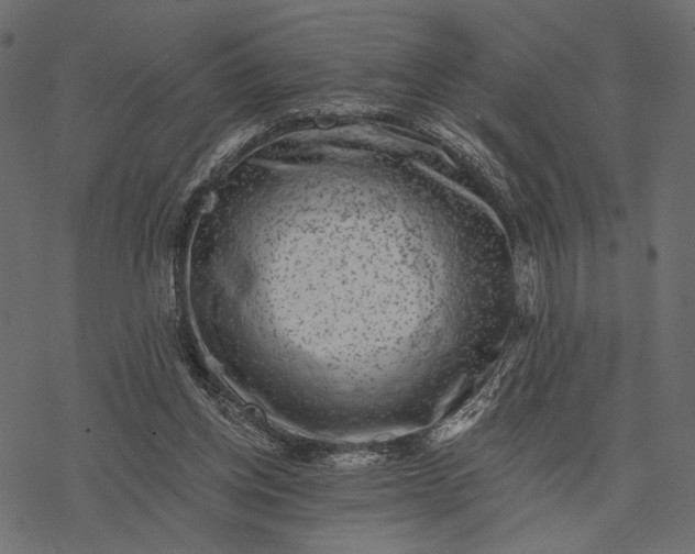 X0000077320158200611031714