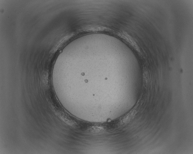 X0000077320159200611031714