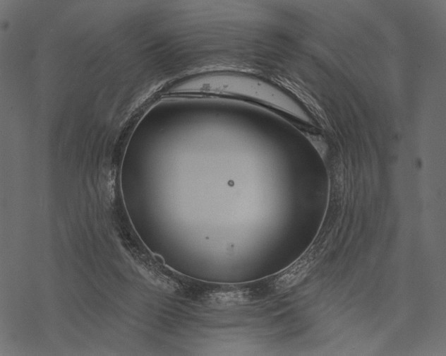 X0000077320160200611031714