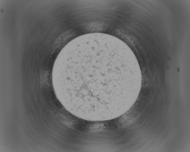 X0000077320162200611031714