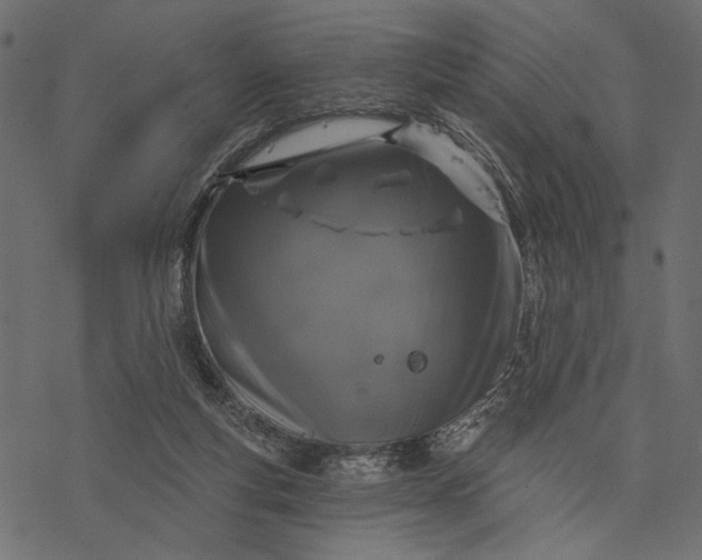 X0000077320163200611031714