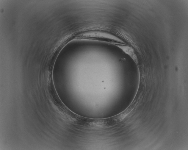 X0000077320164200611031714