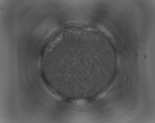 X0000077320165200611031714