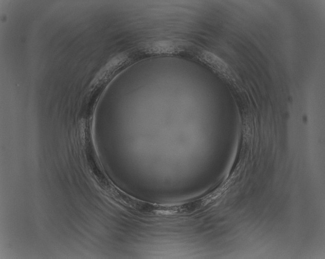 X0000077320167200611031714