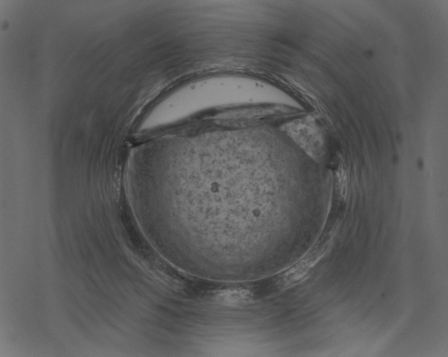 X0000077320168200611031714