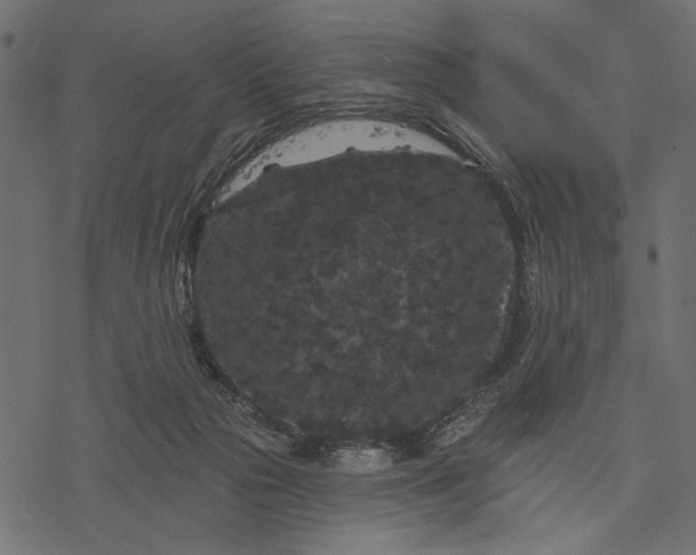 X0000077320169200611031714