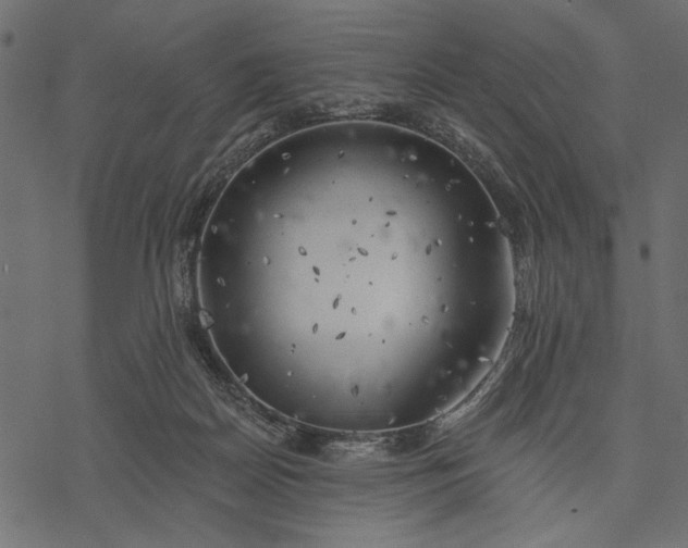 X0000077320170200611031714