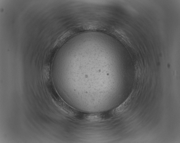 X0000077320171200611031714