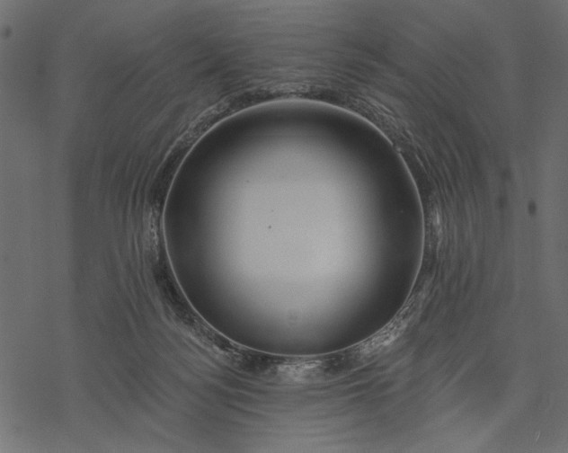 X0000077320172200611031714