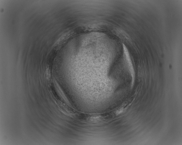 X0000077320173200611031714