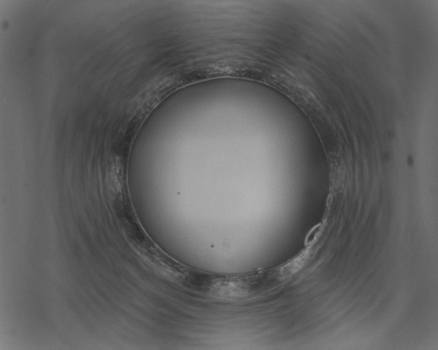 X0000077320174200611031714