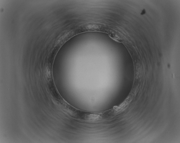 X0000077320176200611031714