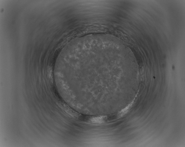 X0000077320178200611031714