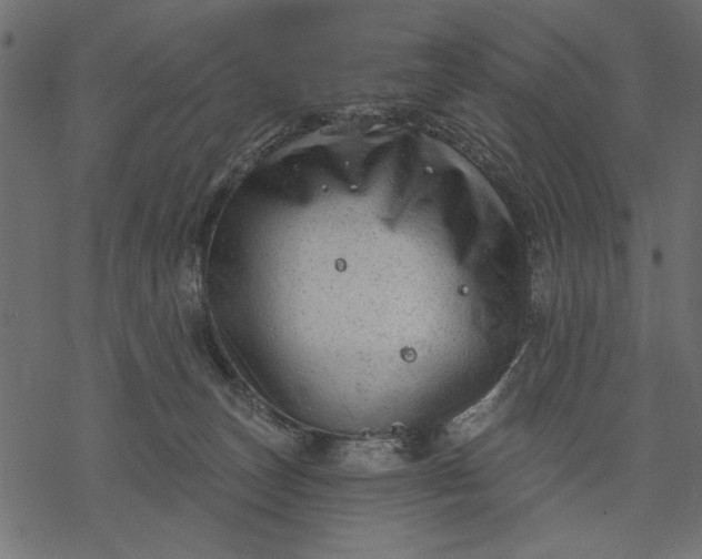 X0000077320179200611031714