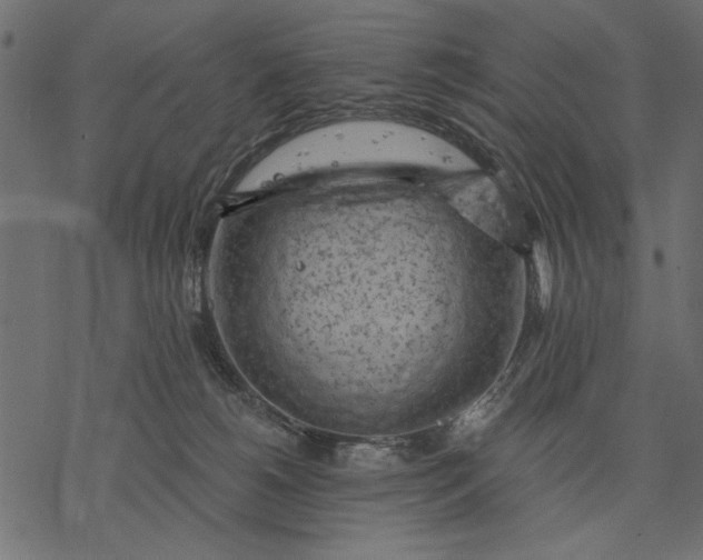 X0000077320180200611031714