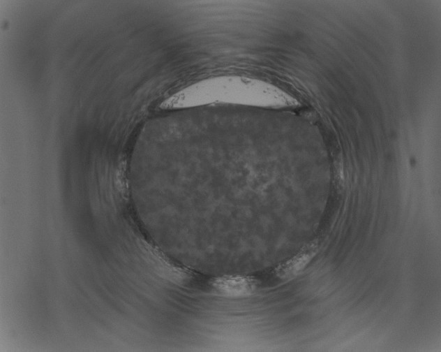 X0000077320181200611031714