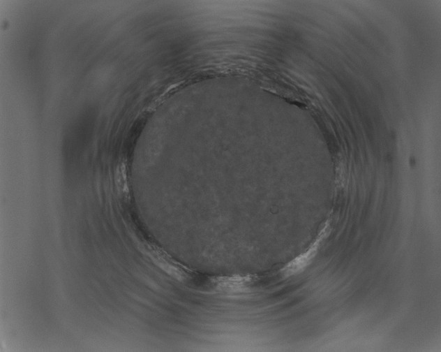 X0000077320182200611031714