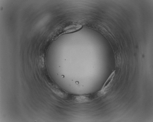 X0000077320183200611031714