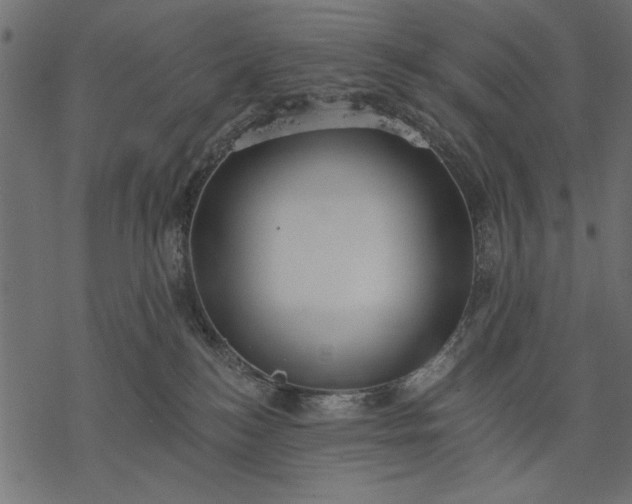 X0000077320184200611031714