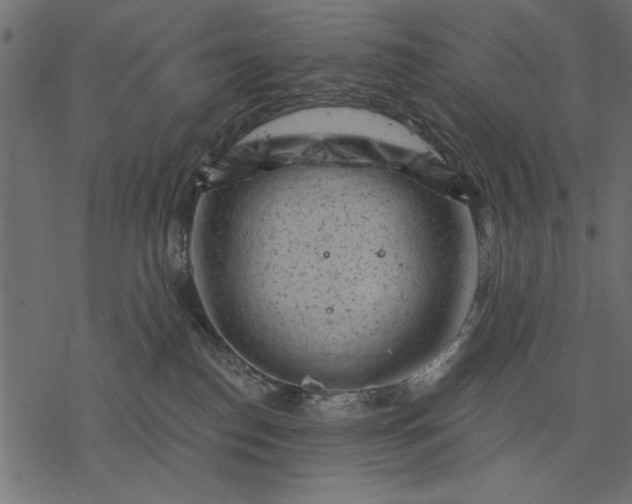 X0000077320186200611031715