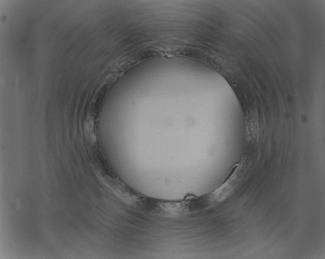 X0000077320187200611031715