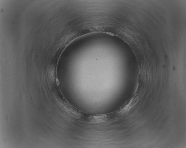 X0000077320188200611031715