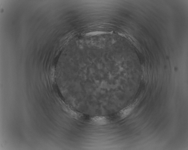 X0000077320189200611031715