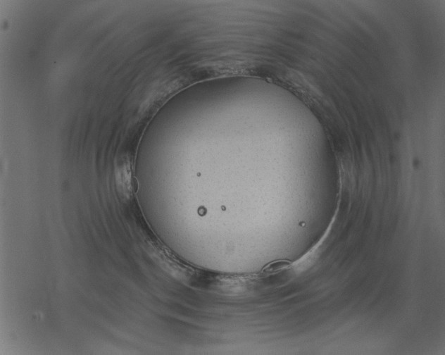 X0000077320190200611031715