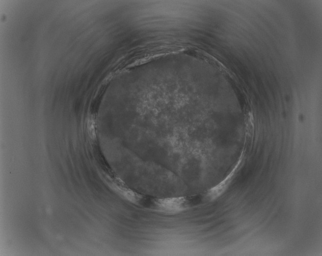 X0000077320191200611031715